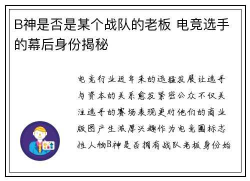 B神是否是某个战队的老板 电竞选手的幕后身份揭秘
