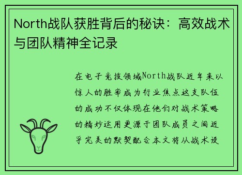 North战队获胜背后的秘诀：高效战术与团队精神全记录