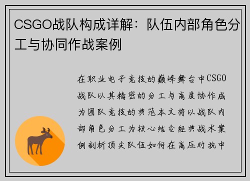 CSGO战队构成详解：队伍内部角色分工与协同作战案例